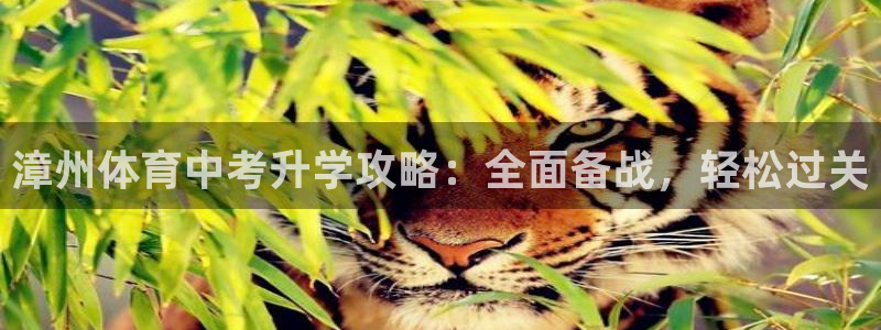 富联智能工坊：漳州体育中考升学攻略：全面备战，轻松过
