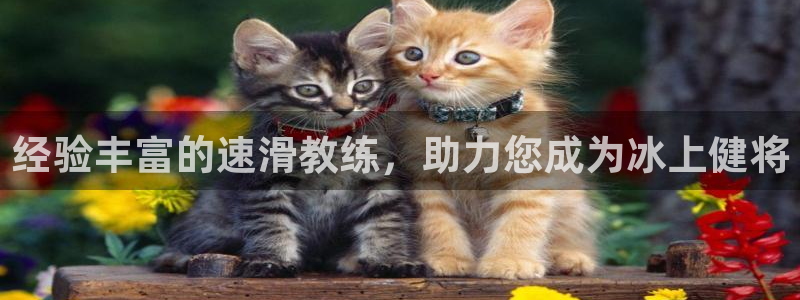 富联娱乐测速app：经验丰富的速滑教练，助力您成为冰