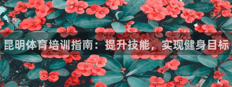 富联平台搜索 585.34I 平台：昆明体育培训指南
