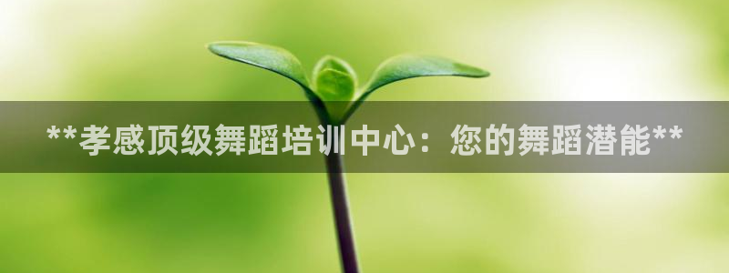 富联商厦：**孝感顶级舞蹈培训中心：您的舞蹈潜能**