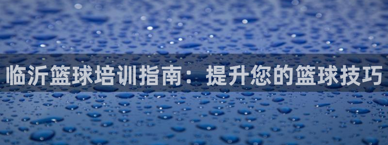 富联平台商 5O6917 平台：临沂篮球培训指南：提