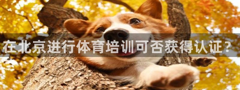 富联娱乐叩 411O31 富联：在北京进行体育培训可