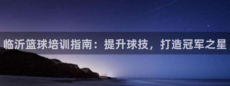 富联娱乐股东构成：临沂篮球培训指南：提升球技，打造冠