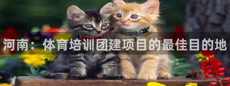 富联平台选 58534I 富联：河南：体育培训团建项