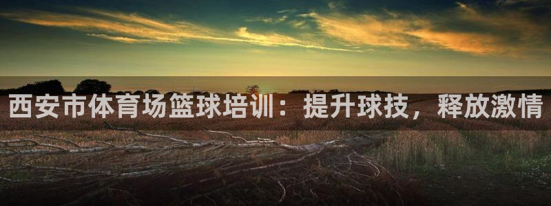 富联官方网站首页入口：西安市体育场篮球培训：提升球技