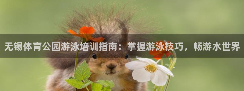 富联商城官网：无锡体育公园游泳培训指南：掌握游泳技巧