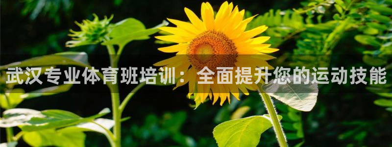 富联娱乐待 411o31 娱乐：武汉专业体育班培训：