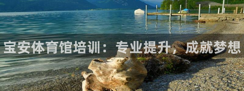 股票富联申购今天多少钱：宝安体育馆培训：专业提升，成