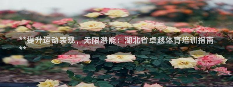 富联娱乐登陆：**提升运动表现，无限潜能：湖北省卓越