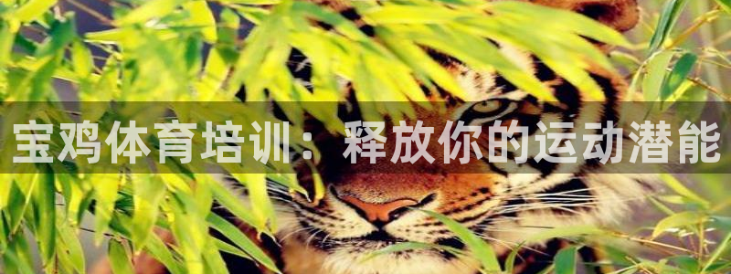富联娱乐平台开户条件要求：宝鸡体育培训：释放你的运动
