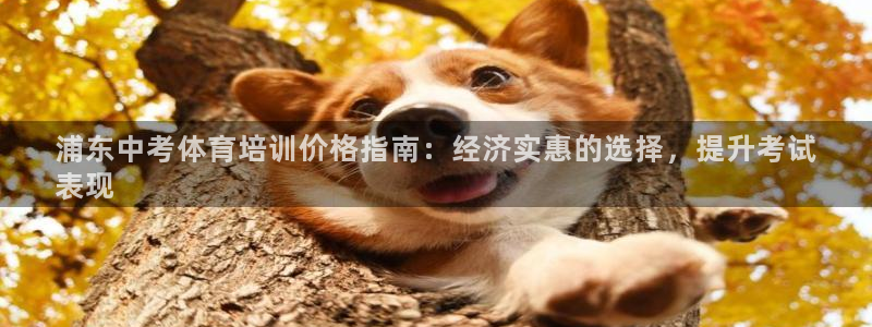 富联金融：浦东中考体育培训价格指南：经济实惠的选择，