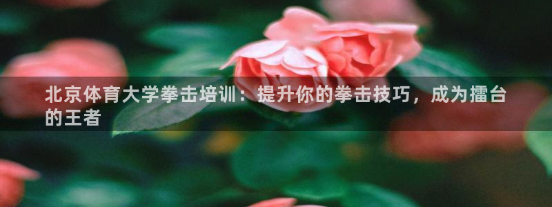富联官方网站下载安装手机版：北京体育大学拳击培训：提
