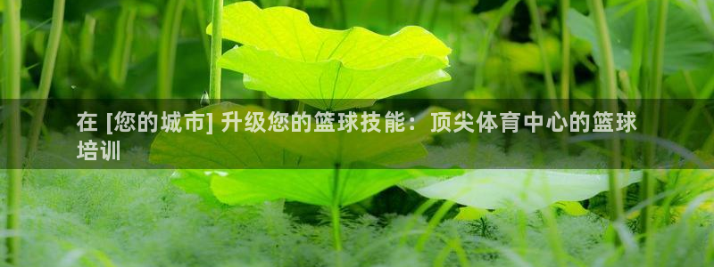 富联金融：在 [您的城市] 升级您的篮球技能：顶尖体