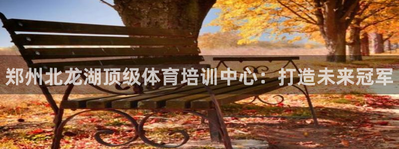 富联科技上市了吗今天：郑州北龙湖顶级体育培训中心：打