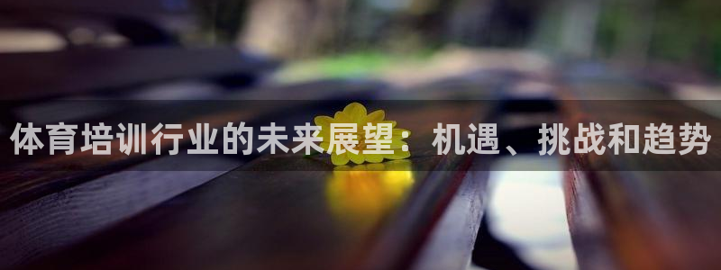 富联娱乐负责人：体育培训行业的未来展望：机遇、挑战和