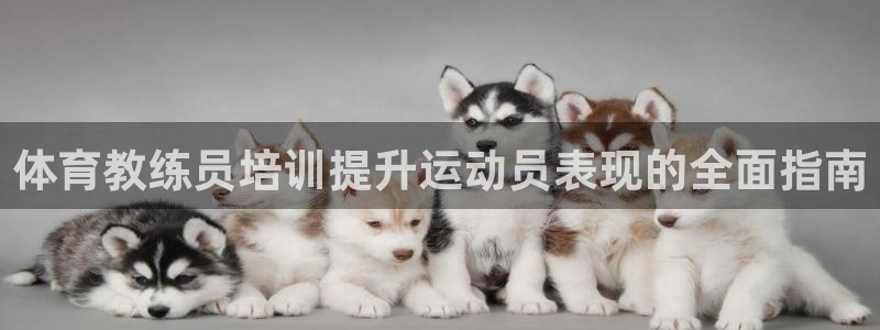 富联平台官网登录入口下载：体育教练员培训提升运动员表