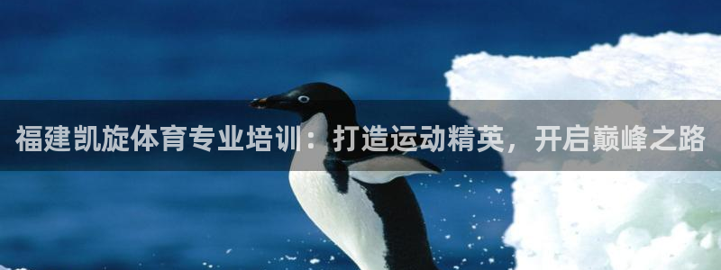 富联申购：福建凯旋体育专业培训：打造运动精英，开启巅