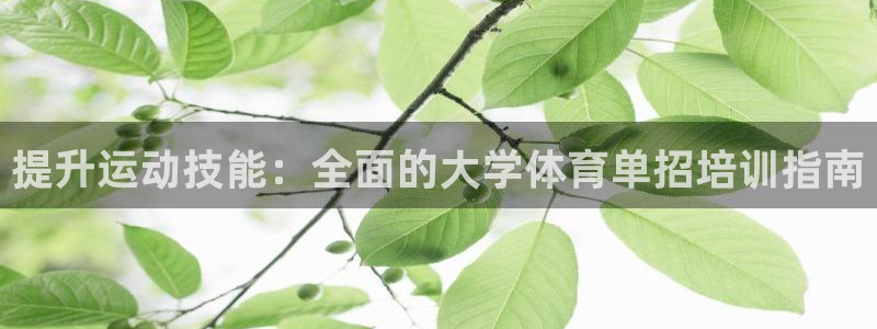 富联娱乐访问：提升运动技能：全面的大学体育单招培训指