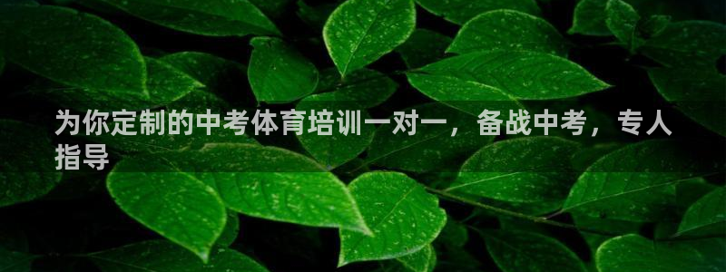 富联平台总代理是谁：为你定制的中考体育培训一对一，备