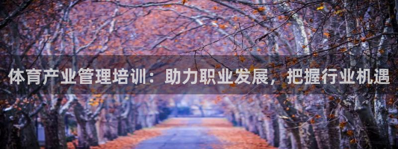 富联平台上级下级是什么：体育产业管理培训：助力职业发