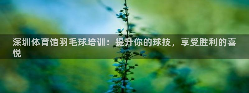 富联申购上市价格预测最新：深圳体育馆羽毛球培训：提升