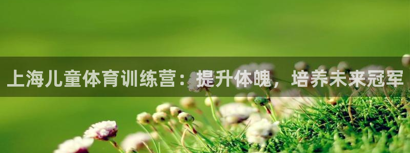 富联娱乐怎么样：上海儿童体育训练营：提升体魄，培养未