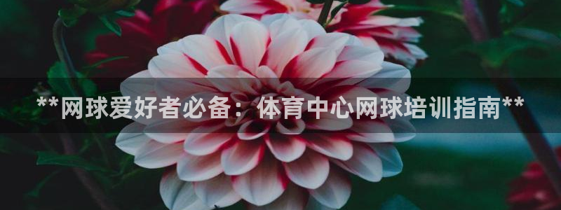 富联娱乐在线注册链接是什么：**网球爱好者必备：体育