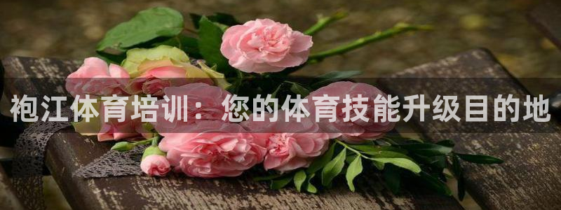 富联官方网站登录：袍江体育培训：您的体育技能升级目的