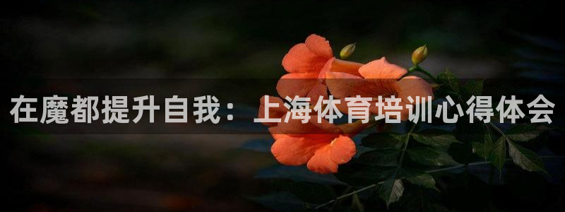 富联娱乐乙6.7.5.1.3.8：在魔都提升自我：上