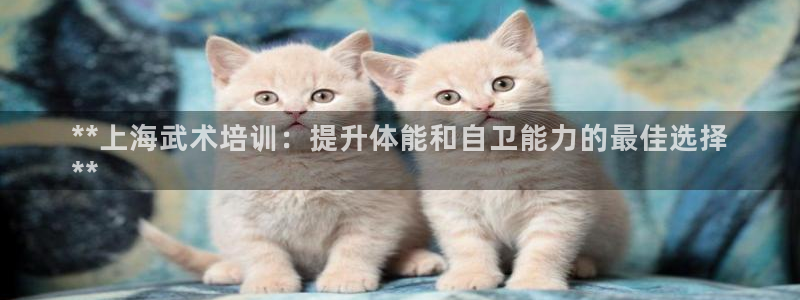 富联娱乐口 5O6917 娱乐：**上海武术培训：提
