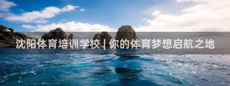 富联平台用户登陆不上：沈阳体育培训学校 | 你的体育