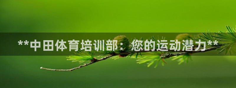 富联平台结7O777：**中田体育培训部：您的运动潜