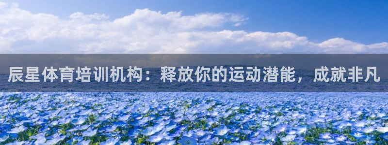 富联平台安装：辰星体育培训机构：释放你的运动潜能，成