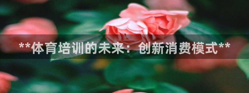 富联集团最新消息：**体育培训的未来：创新消费模式*