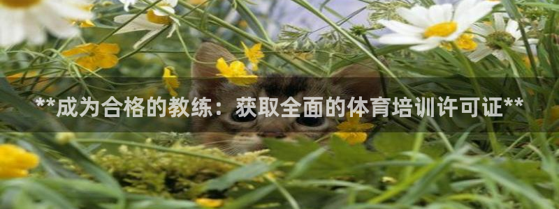 杭州富联科技：**成为合格的教练：获取全面的体育培训