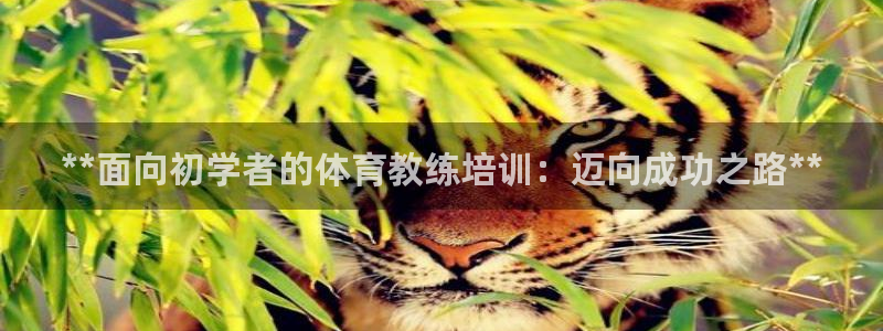 富联平台q665.786：**面向初学者的体育教练培