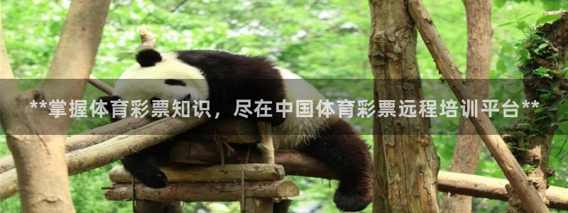 富联娱乐下载app：**掌握体育彩票知识，尽在中国体