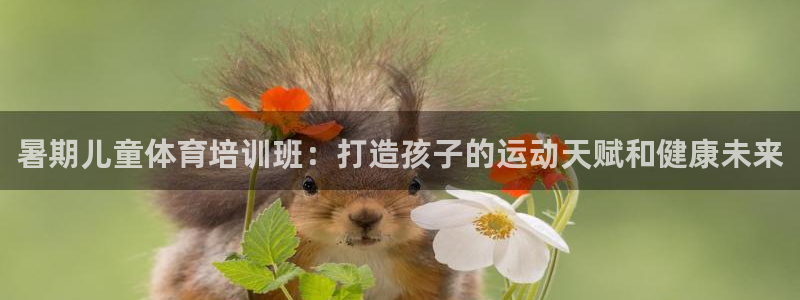 富联娱乐负责人：暑期儿童体育培训班：打造孩子的运动天