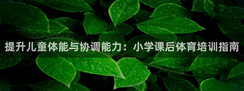 富联申购是什么股票啊：提升儿童体能与协调能力：小学课