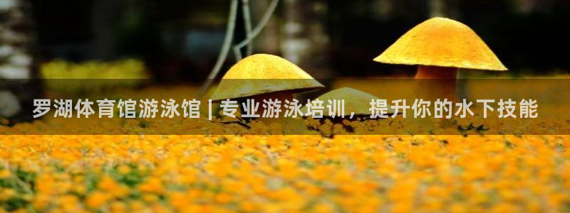 富联平台马 411O31 富联：罗湖体育馆游泳馆 |