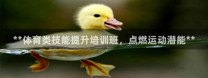 富联是什么：**体育类技能提升培训班，点燃运动潜能*