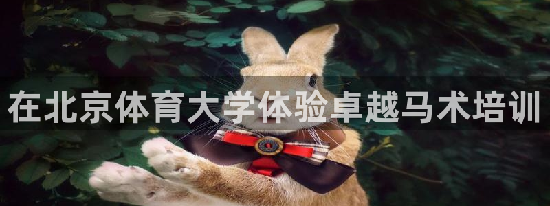 富联商城：在北京体育大学体验卓越马术培训