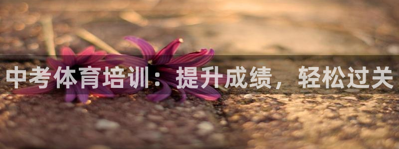 富联平台目 411O31 富联：中考体育培训：提升成
