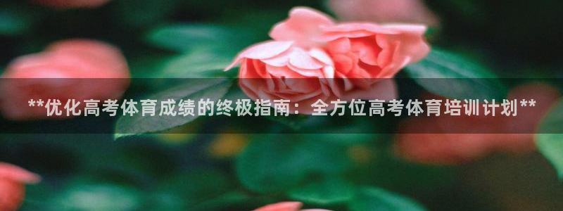 富联化工：**优化高考体育成绩的终极指南：全方位高考