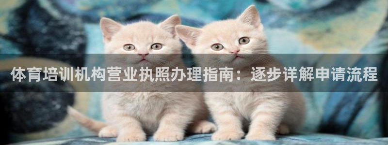 富联娱乐老板：体育培训机构营业执照办理指南：逐步详解