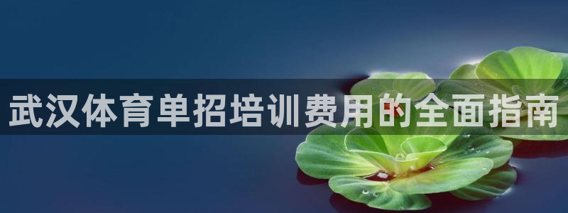 富联娱乐平台是什么平台：武汉体育单招培训费用的全面指