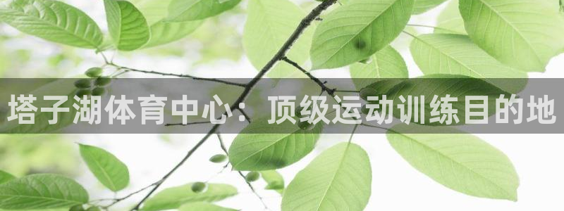 富联娱乐登录注册入口官网下载安卓：塔子湖体育中心：顶