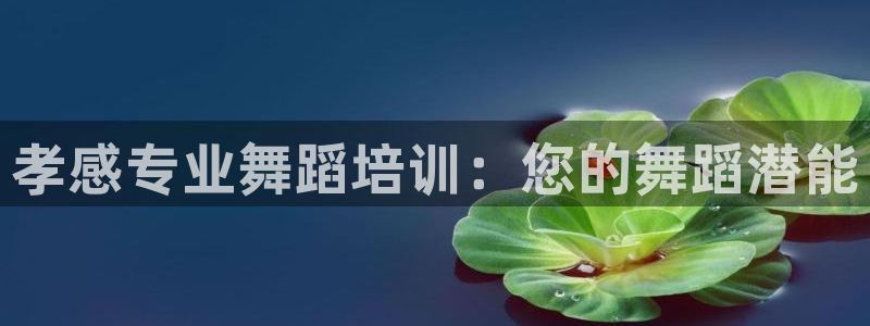 富联平台总代：孝感专业舞蹈培训：您的舞蹈潜能
