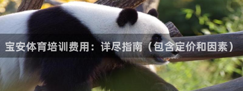 富联娱乐在线注册链接是什么意思：宝安体育培训费用：详