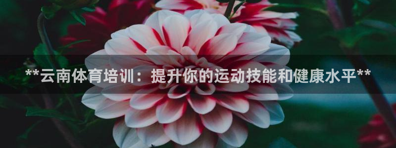 富联平台况7O777：**云南体育培训：提升你的运动